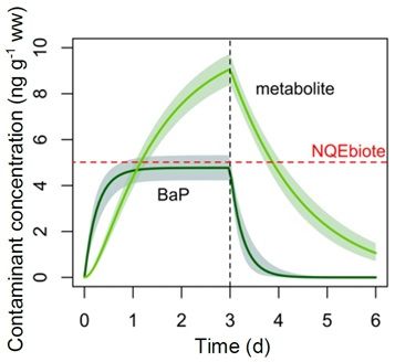 Ratier-Fig2
