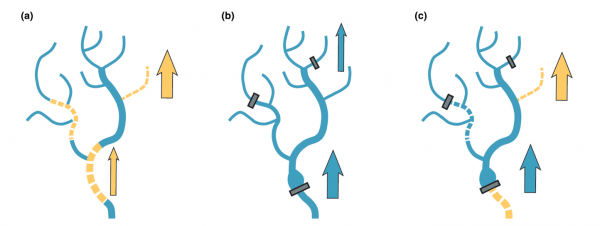 SILVERTHORN-Fig1