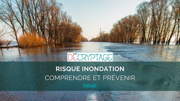 Decryptage-Risque-inondation-comprendre-et-prevenir.jpg